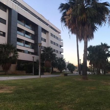 Gatu Premium El Vinedo, Centro, Parking, Aire Acc, Terraza Y Piscina Comun," Preferente Mayores De 25 Anos Y Familias " El Puerto de Santa María Exteriér fotografie
